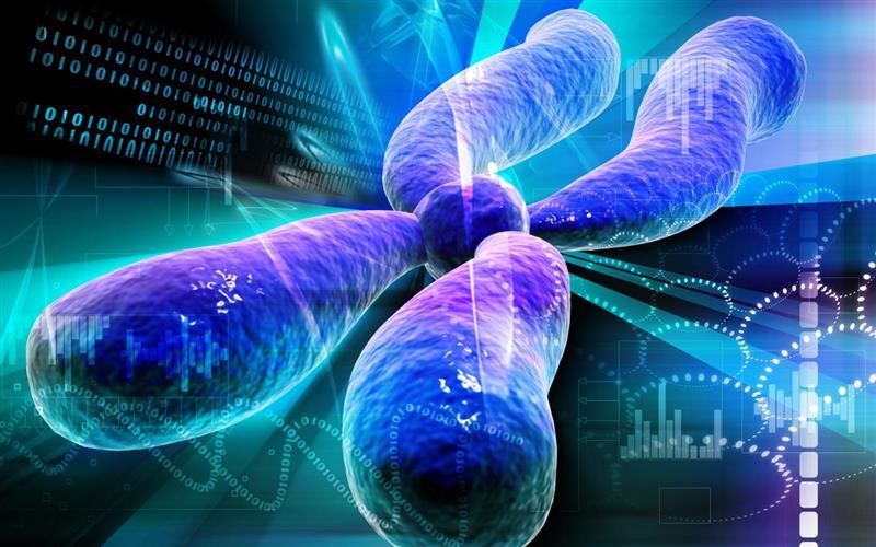 DNA DNA